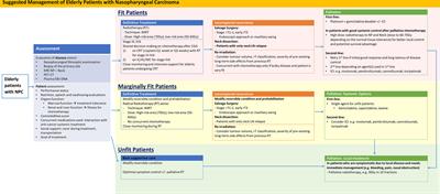 Management of Nasopharyngeal Carcinoma in Elderly Patients